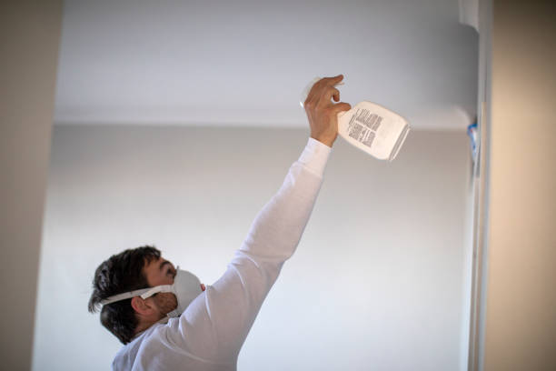 Best Office Mold Removal Services  in Woodsboro, TX