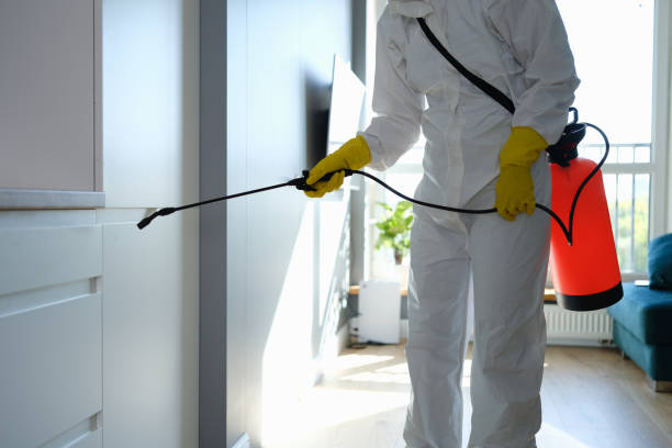 Best Mold Cleaning Services  in Woodsboro, TX