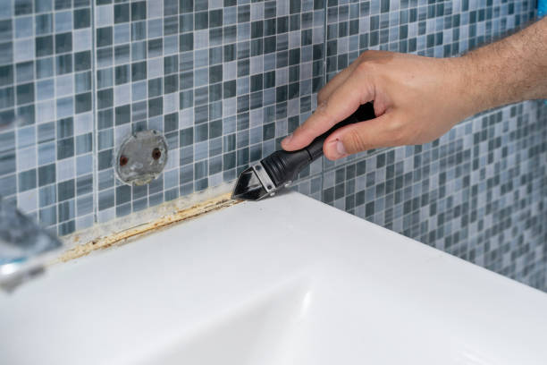 Best Home Mold Removal  in Woodsboro, TX