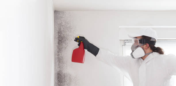 Best Crawl Space Mold Removal  in Woodsboro, TX