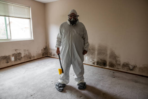 Best Black Mold Removal  in Woodsboro, TX